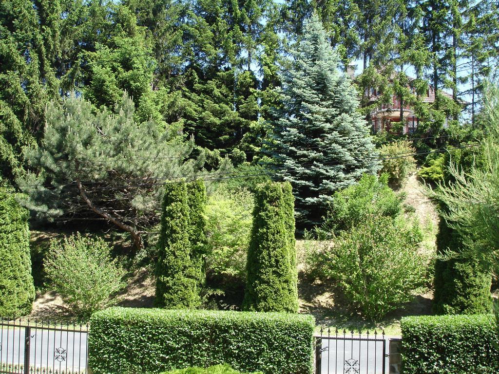 Biro Apartman Appartement Zalakaros Buitenkant foto